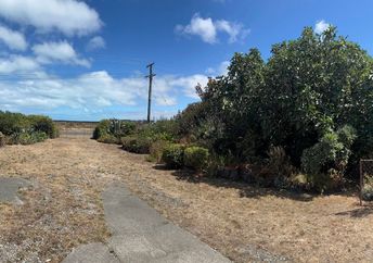 Leisa Elliot's winning ugly yard.