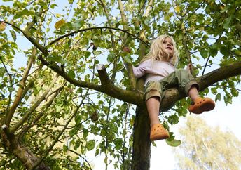 Climbing a tree helps build confidence.