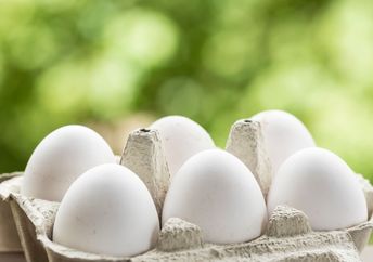 Egg substitutes are gaining in popularity.