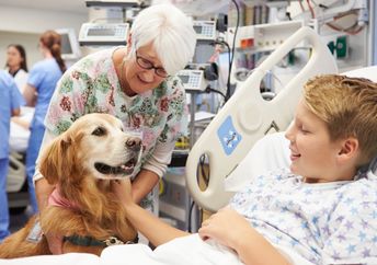 Therapy dog is cheering up boy in the hospital.