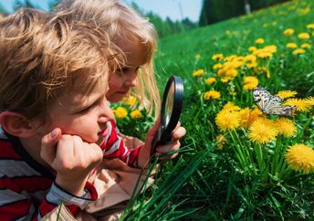 Children exploring nature.