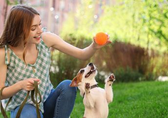 Young woman playing outdoors with an adorable Jack Russell Terrier dog.