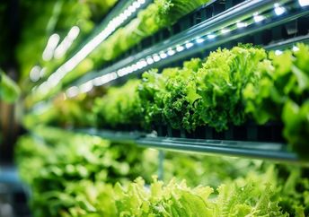 A vertical farm with stacked layers of plants.