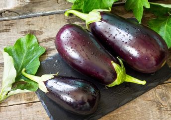 Freshly picked purple eggplant.
