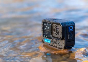GoPro camera used to aid conservation work.