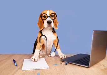 This beagle is helping to detect cancer.