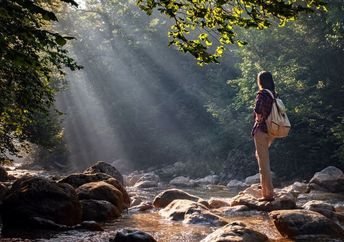 Taking a reflective walk in the woods.