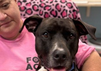 Sienna with a shelter volunteer.