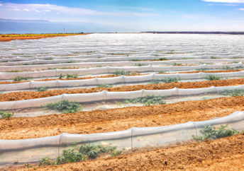 Israel has used a wide variety of innovative methods to conserve water.