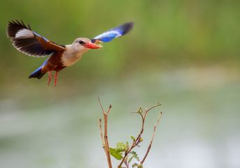 Nature lovers can now birdwatch from an air traffic control tower–themed hide near Heathrow Airport.