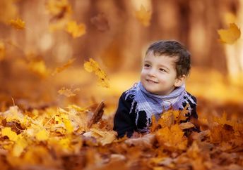Young boy playing in the fallen leaves.