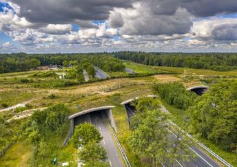 Aerial view of a wildlife overpass.