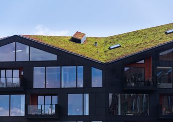 Green ecological sod roof on modern city building covered with vegetation.
