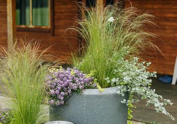 A patio planter filled with ornamental plants.