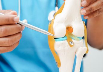 Model of a knee with osteoarthritis.