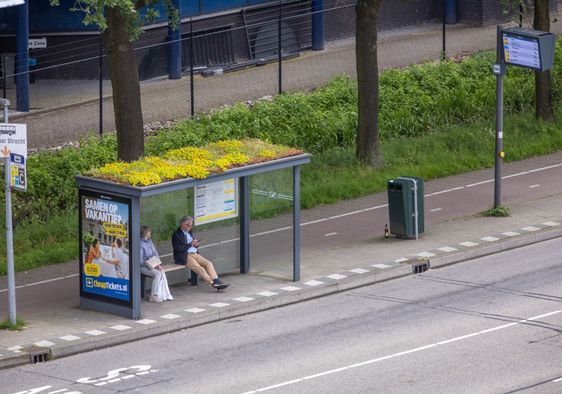 A bus stop in the Netherlands that is a haven for pollinators.