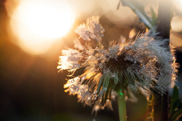 famous quotes about love