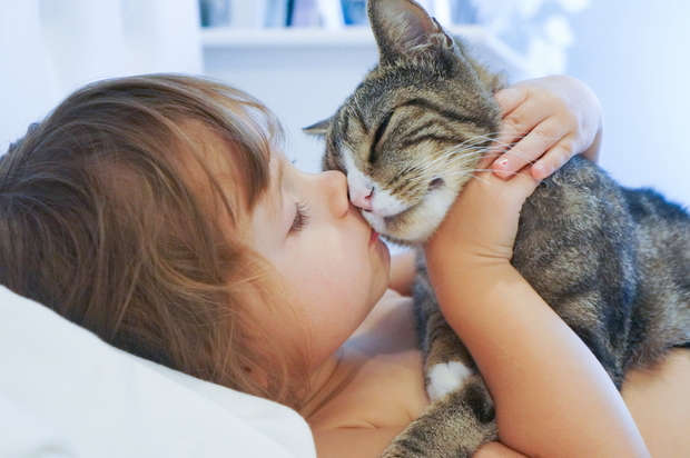 A cat cuddling and being held by a young girl