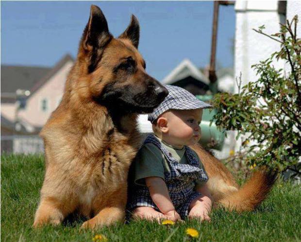 Cute photo of baby with pet dog
