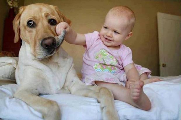 Cute photo of baby with pet dog
