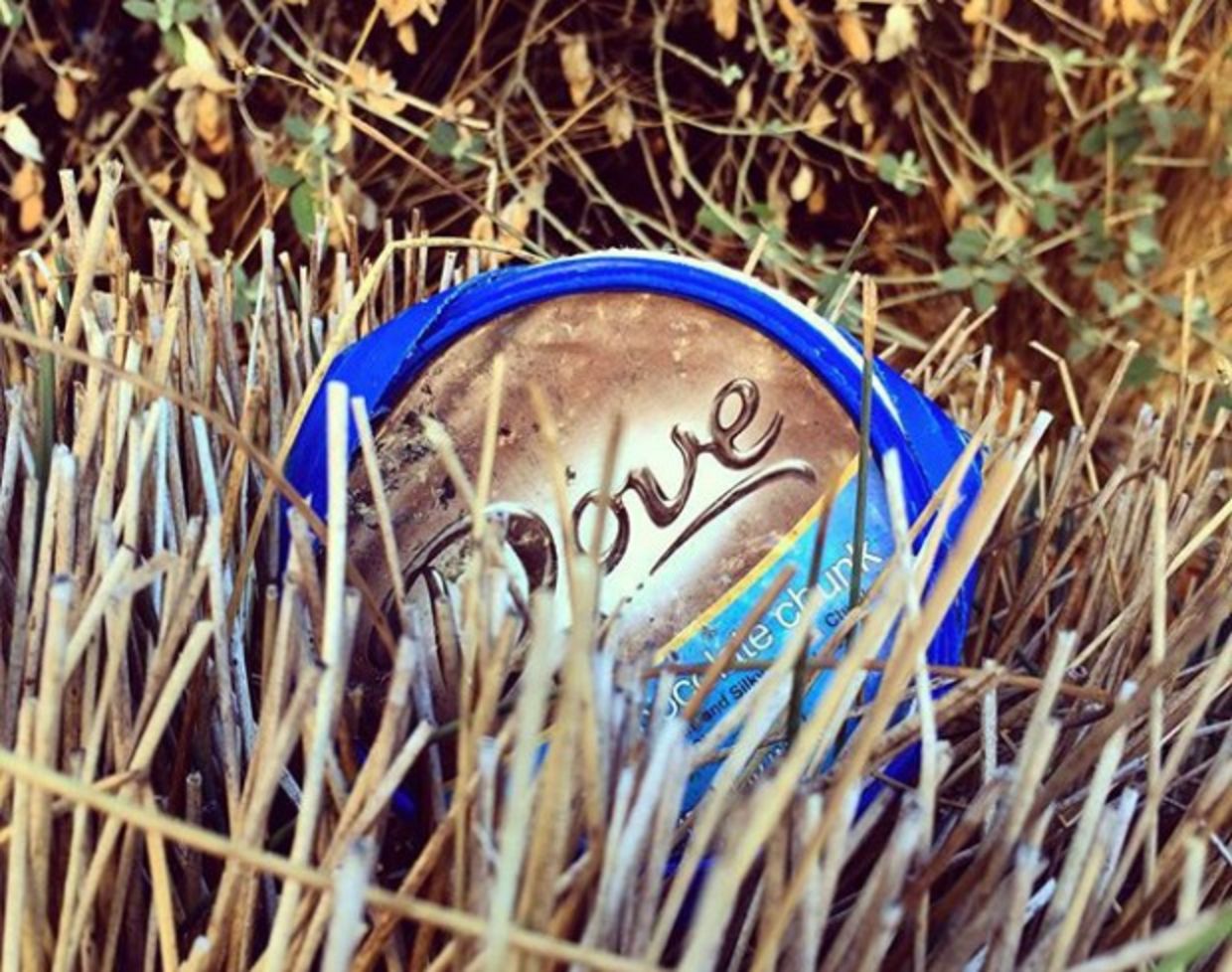 Dove litter in brush