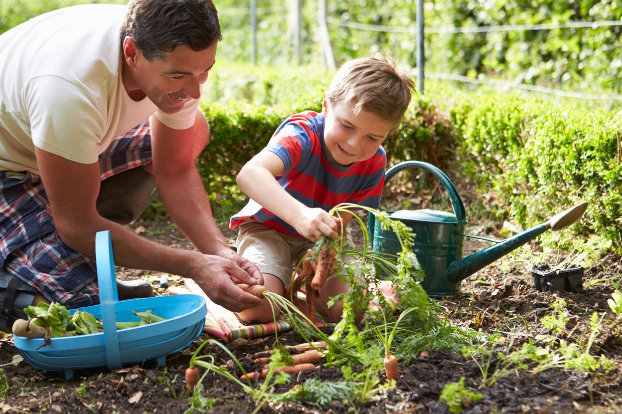 Father and son planting vegetables in the garden