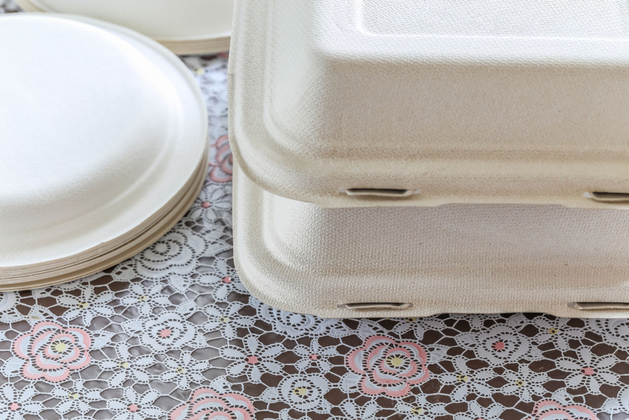 Biodegradable products