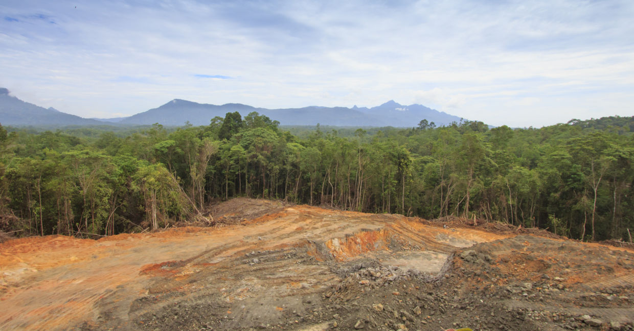 Deforestation: Scarred earth where tropical rain forest has been destroyed by human development in Borneo, Malaysia
