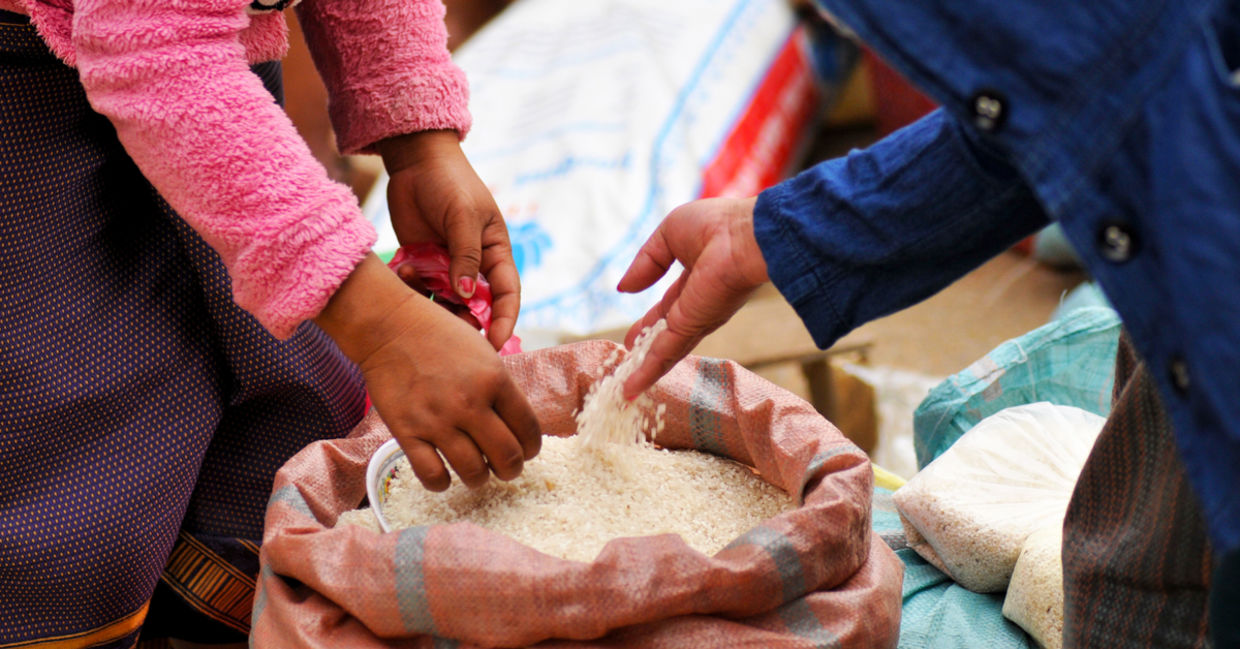 Freerice has donated over 95 billion grains to date