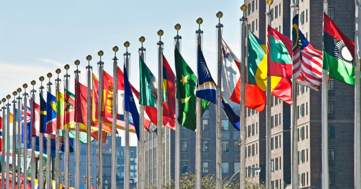 United Nations flags