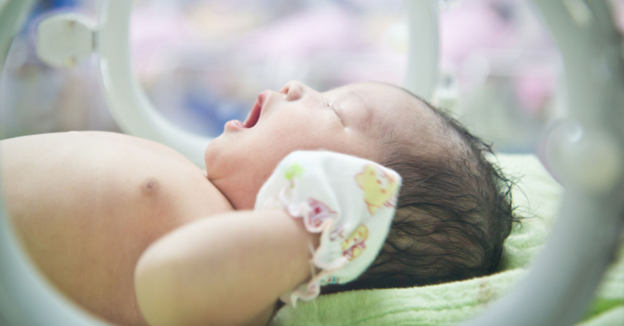 Baby Jasmine and her octopus doll