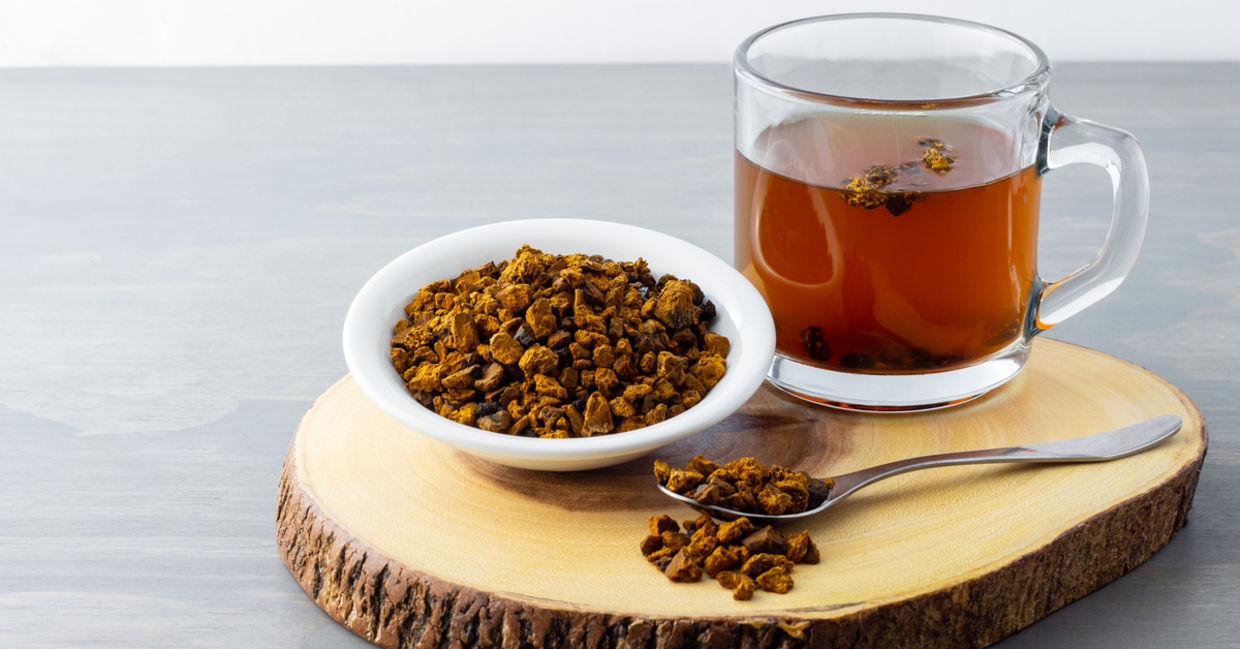 Chaga is by far the most potent antioxidant on the planet. (Shutterstock)