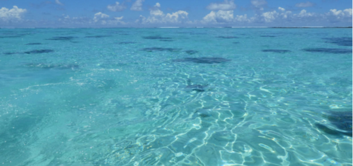 shakespeare quotes lov