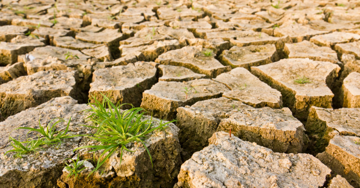 The potential effects of global warming on the environment