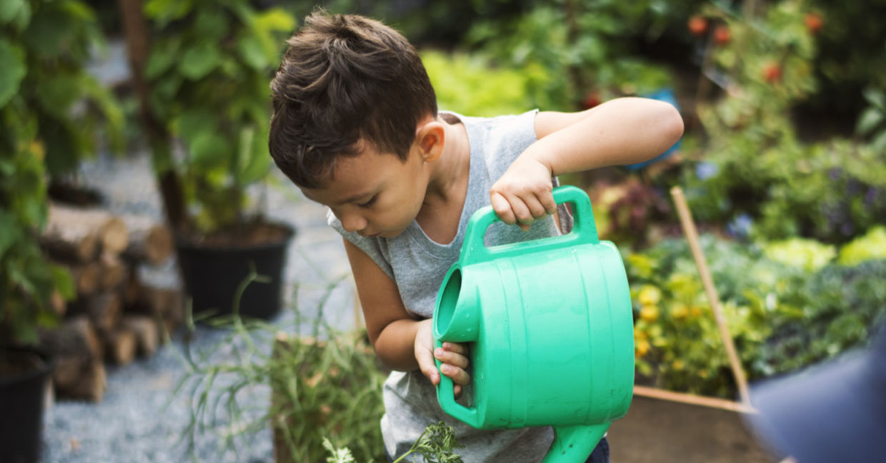 Child watering school garden.