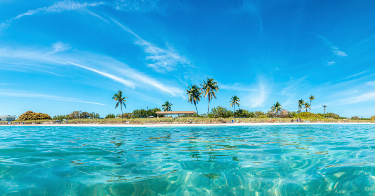 The Florida Keys hosts crabs who are cleaning the coral reef ecosystem.