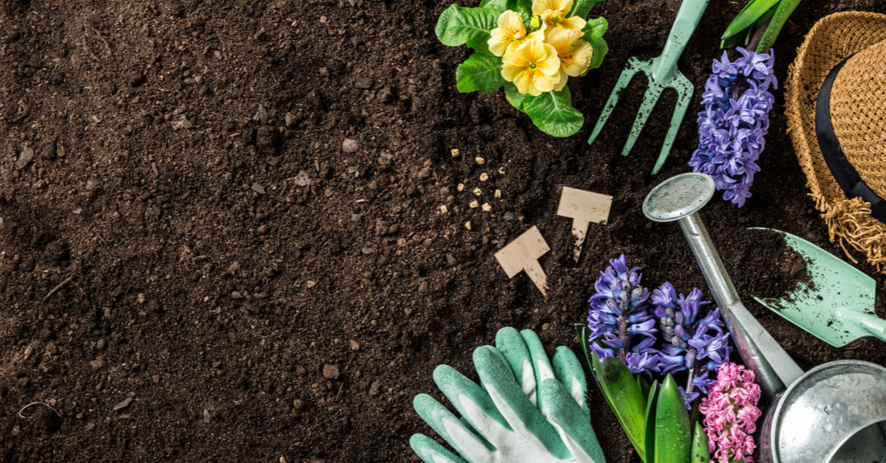 Getting ready to plant backyard lanscaping.