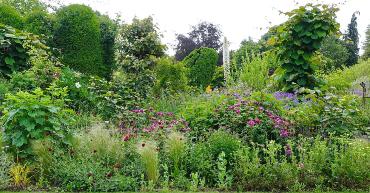 Backyard landscaping using permaculture.