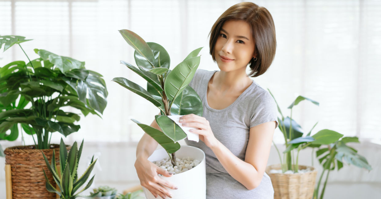 Woman taking care of house plants.