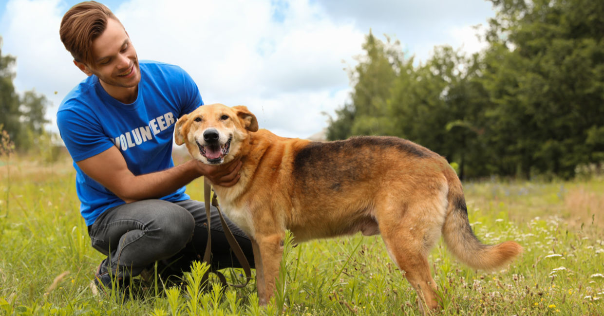 On Good Deeds Day you can walk a shelter dog.