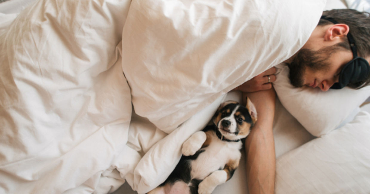 A man is asleep in bed with new innovative bedding.