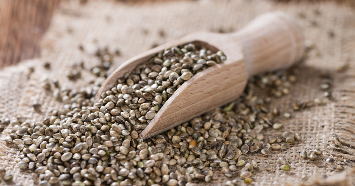 Hemp seeds