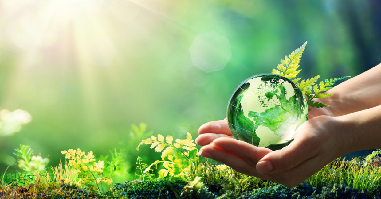 Sustainability is in our hands.