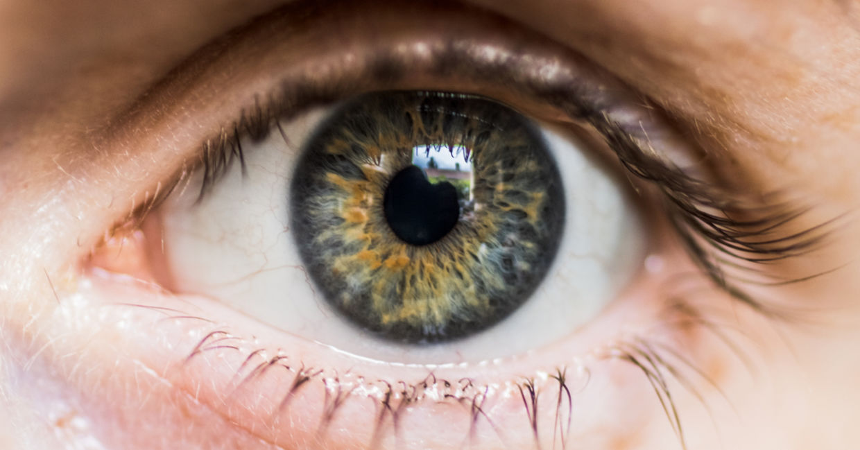 Repairing vision with just one eye injection.