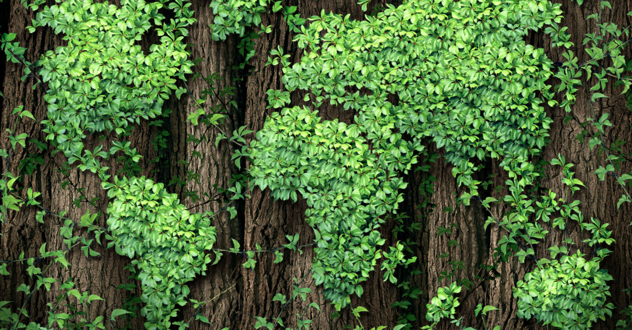wooden map on the world,