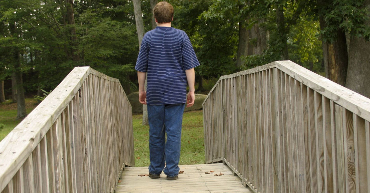 The bridge in-between.