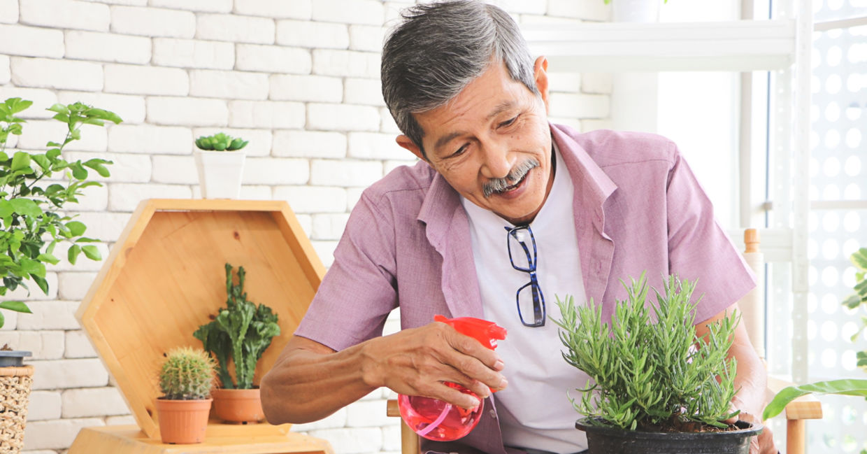 Water your indoor plants more frequently.
