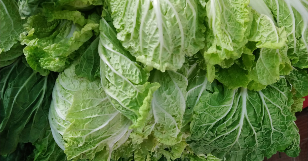 Eat chicory for better gut health.