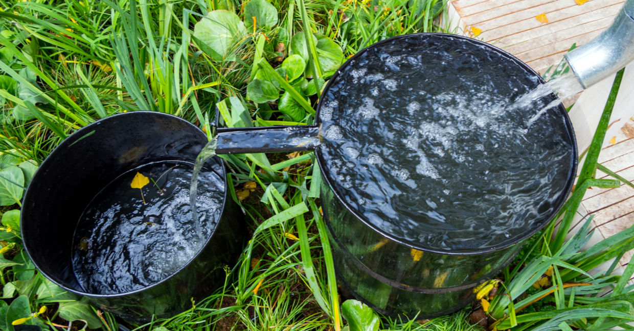 Rainwater flows into a water barrel.