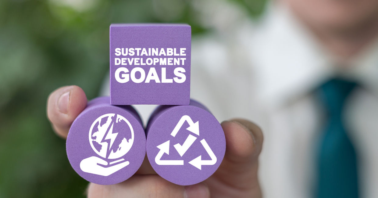 UN Sustainable Development Goals.